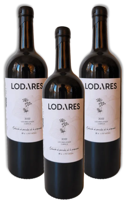 Caja de 3 botellas - Lodares 22
