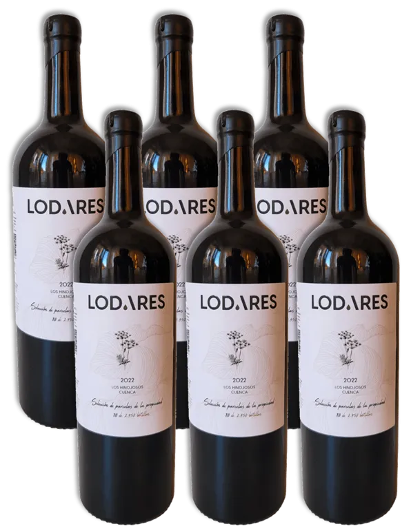 Caja de 6 Botellas - Lodares 22