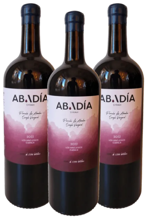 Caja de 3 botellas - Abadía 22 Syrah