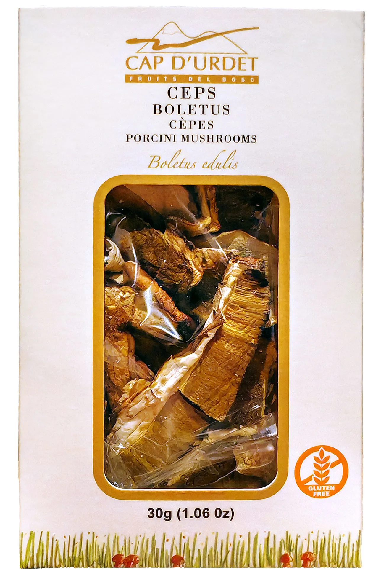 Boletus edulis deshidratado