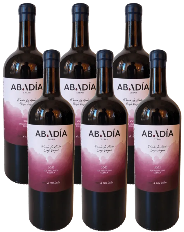 Caja Abadía 2022 -Syrah 6 x 750 ml