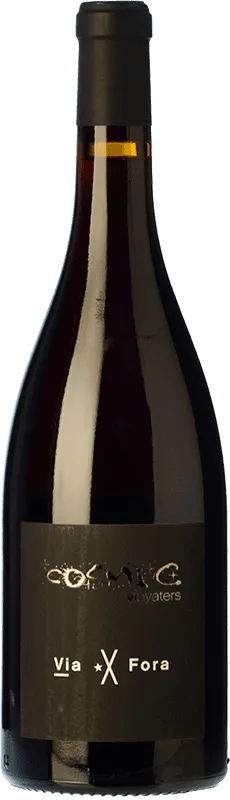 Còsmic Via Fora Sumoll Penedès Eco — Ecológico 75 cl.
