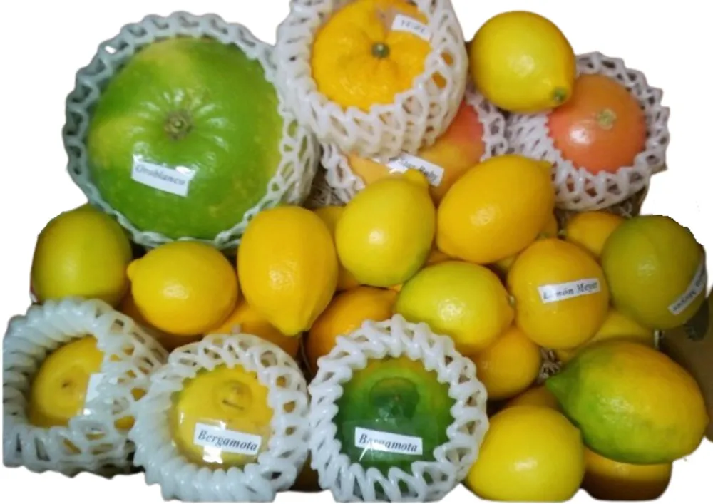 Pack de Cítricos Exóticos