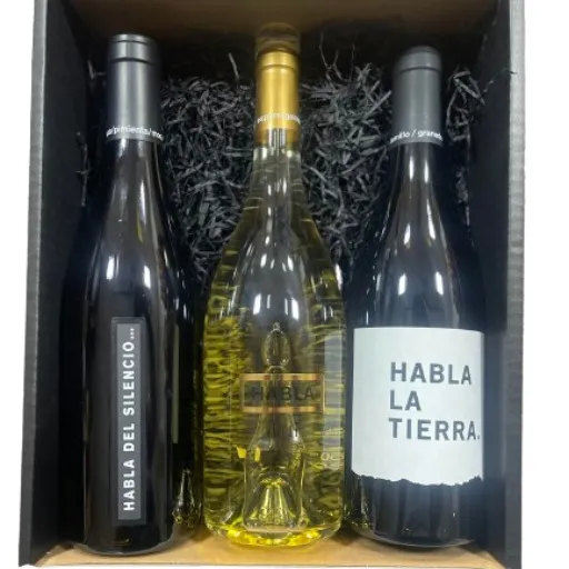 Cesta Regalo Navidad Lote Gourmet Vino HABLA…