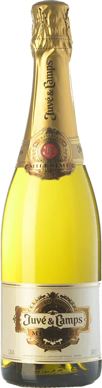 Juvé y Camps Chardonnay Cava Millésimé Reserva 75 cl.