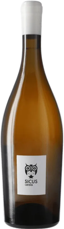 Sicus Cartoixà Xarel·lo Penedès Ánfora Eco — Ecológico 75 cl.