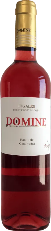 Thesaurus Domine Tempranillo Cigales Joven 75 cl.