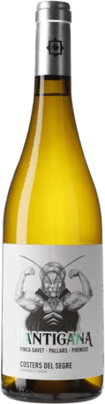 Batlliu de Sort Pantigana Costers del Segre 75 cl.