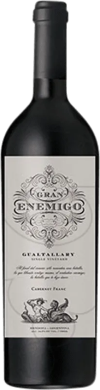 Aleanna Gran Enemigo Gualtallary Botella Magnum 1,5 L.