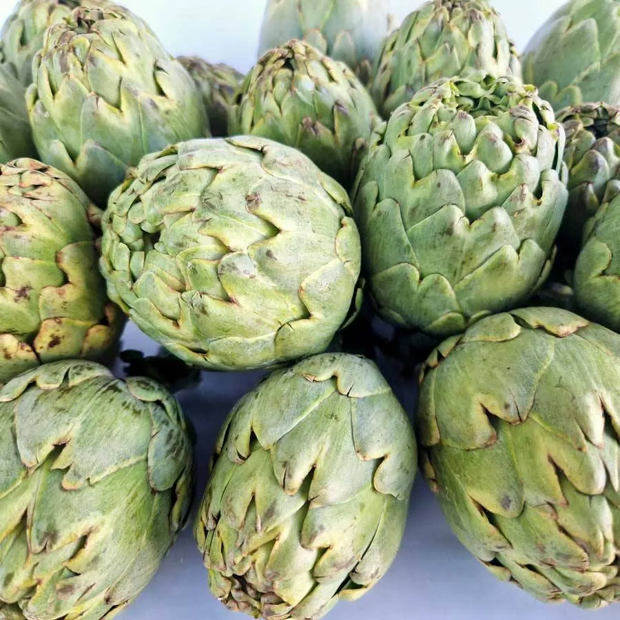 Alcachofa blanca de Tudela