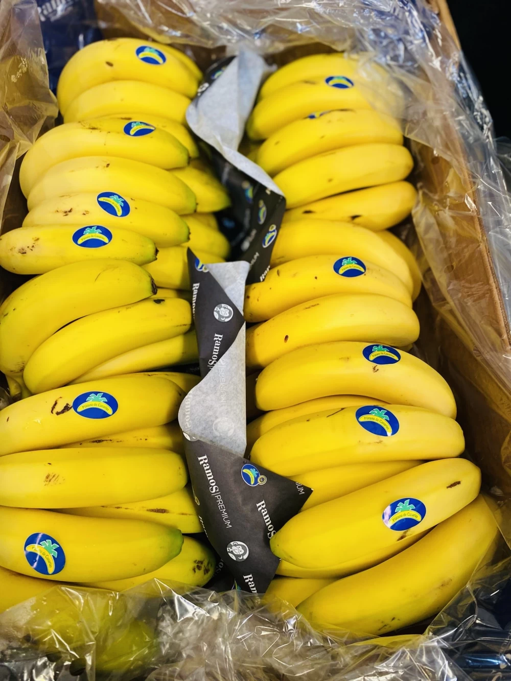 Plátanos de Canarias Hoya (1Kg)