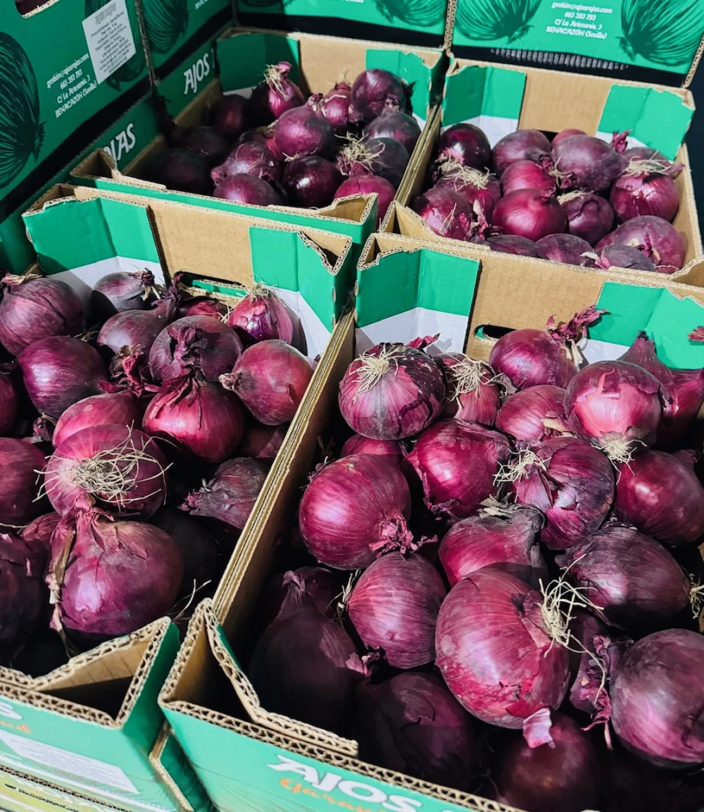 Cebolla Morada de Huelva (1Kg)