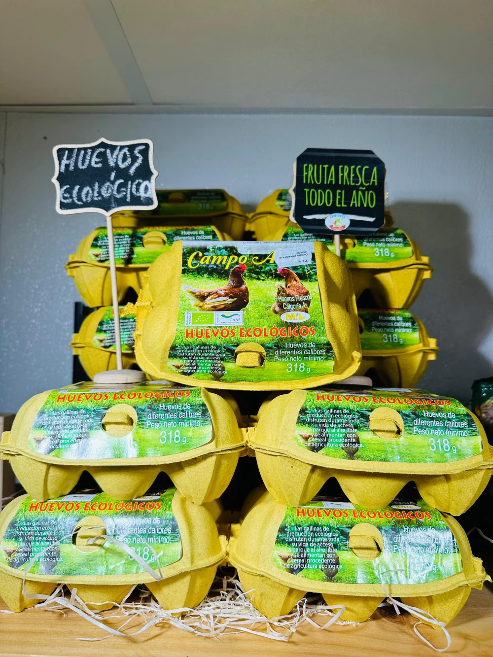 Huevos ECO Campo Alcor (6 uds)