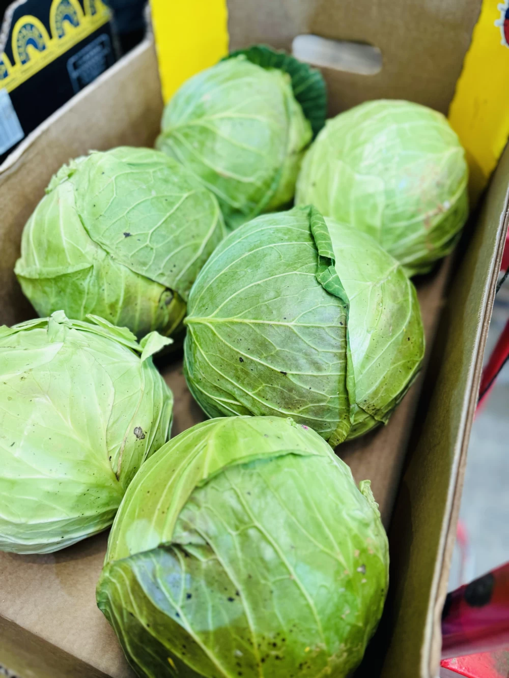 Coles Huerta Huelva (1Kg)