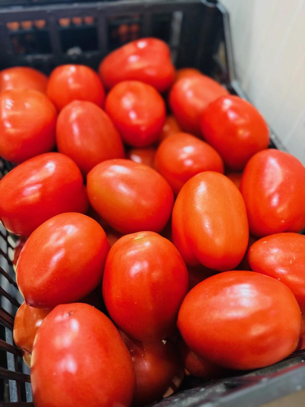 Tomates Pera Huerta de Huelva (500gr)