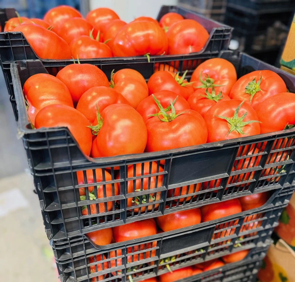Tomates de los Palacios (500gr)