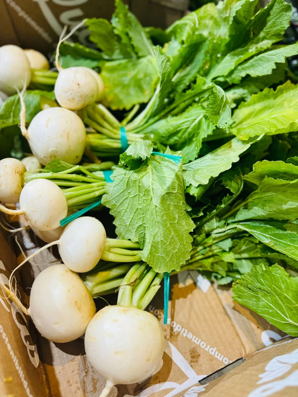 Nabos Huerto Huelva (Unidad)