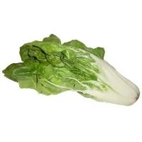 Acelga de la Magdalena (1Kg)