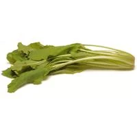 Borraja Limpia Huerta Navarra (1Kg)