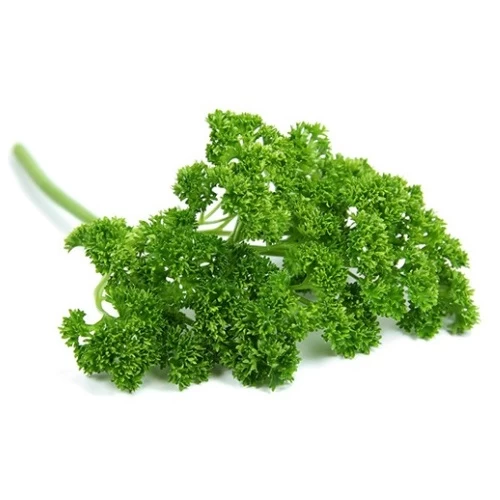 Simientes de Perejil Navarro (bolsa)