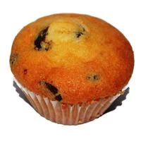 Mini Magdalena Chocolate (1Kg / 40uds)