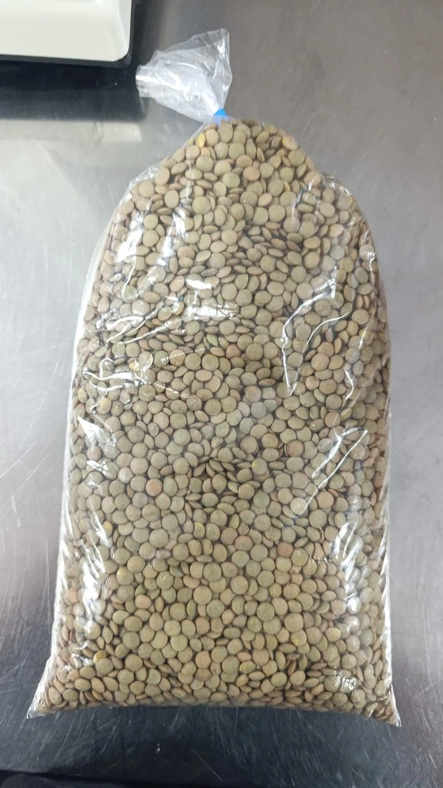 Lenteja Castellana Campos Ávila (1Kg)