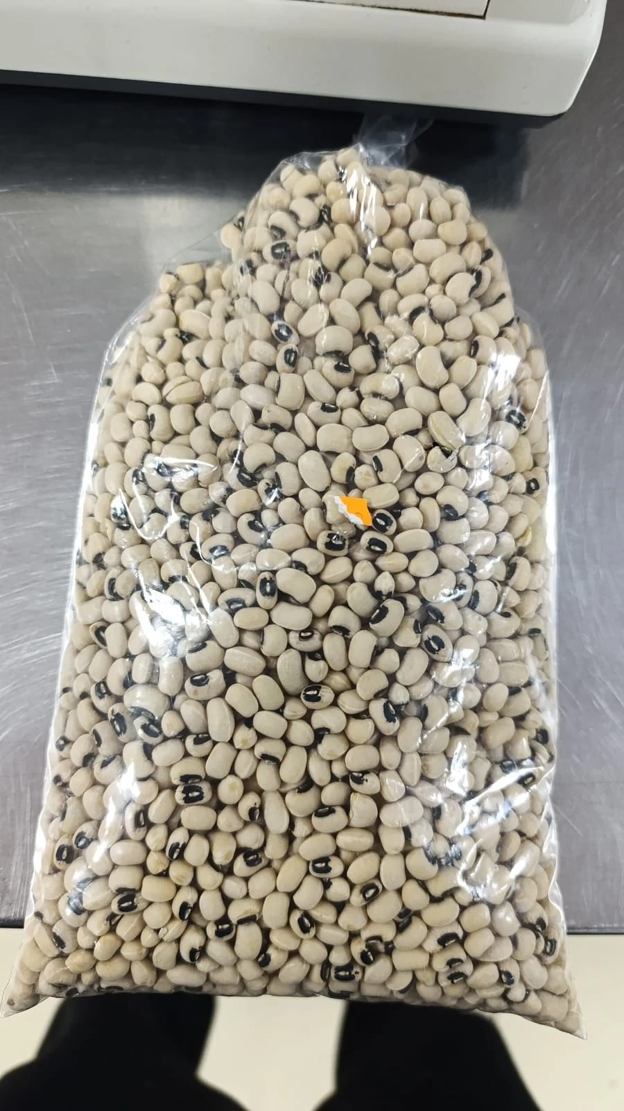 Alubia Carilla Ávila (1Kg)