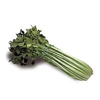 Lechuga Huerta Navarra (600gr)