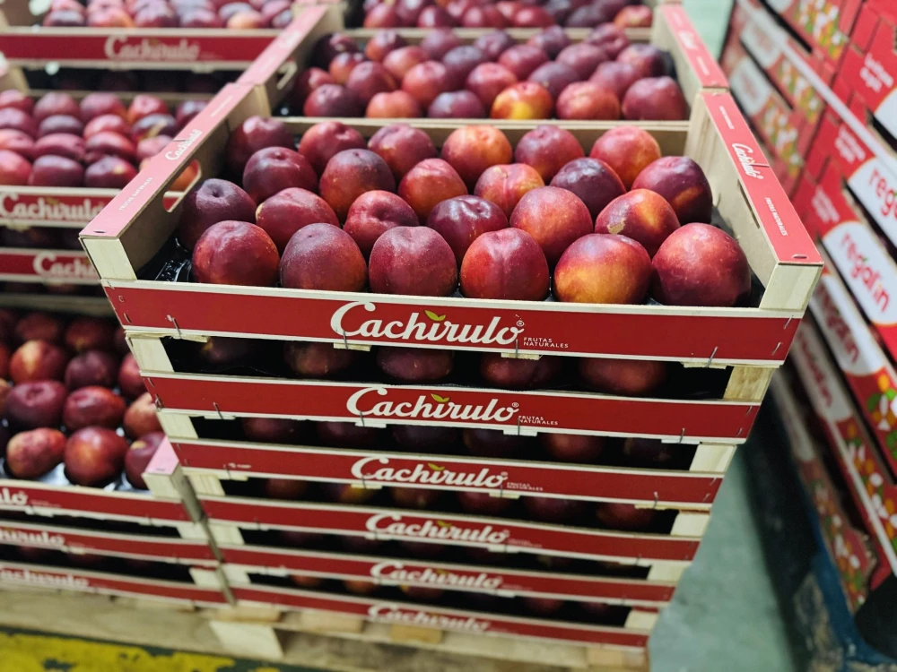 Nectarinas Premium (1Kg)