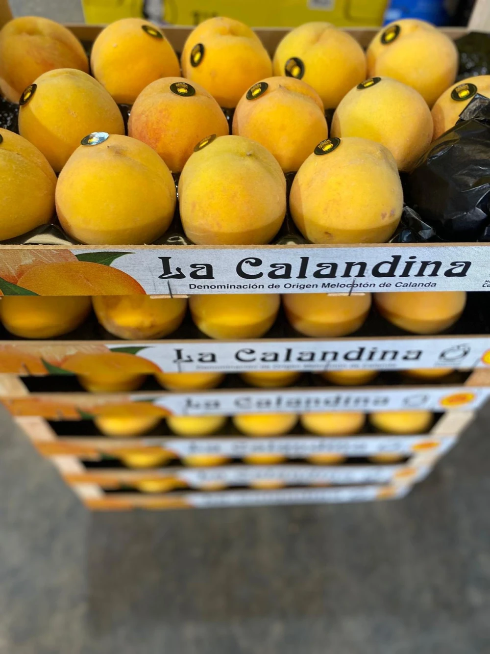 Melocotón Calanda DOP La Calandina (1Kg)