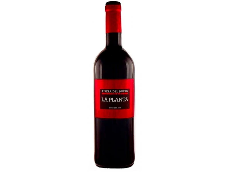 Arzuaga La Planta Ribera del Duero D.O. (75cl)