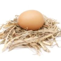 Huevos Camperos Navarros (docena)