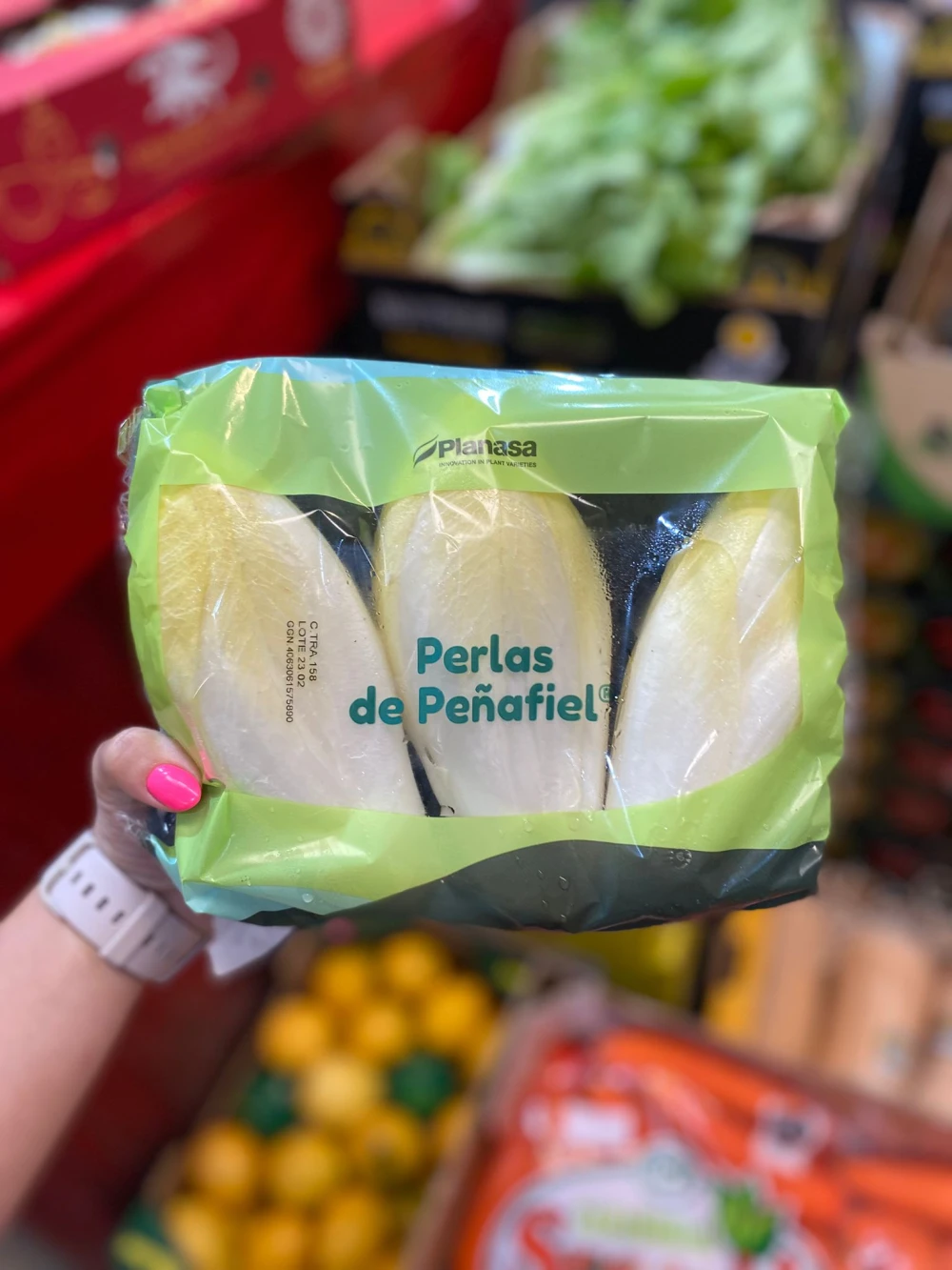 Endivias Perlas de Peñafiel (400gr)