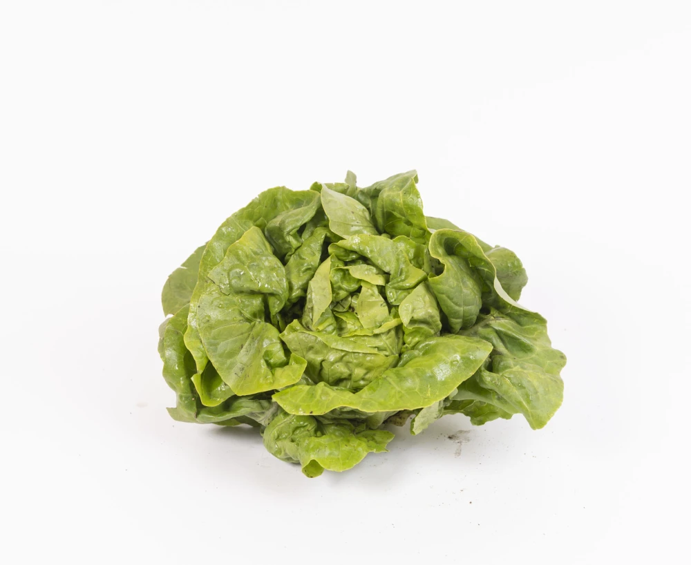 Cogollo Fresco de Tudela (unidad)