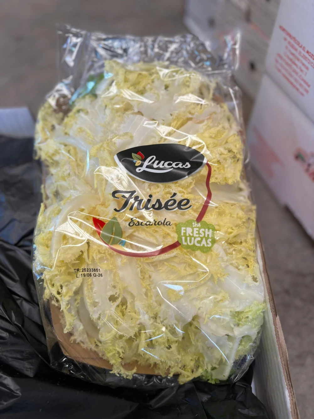 Escarola Frisée (300gr)