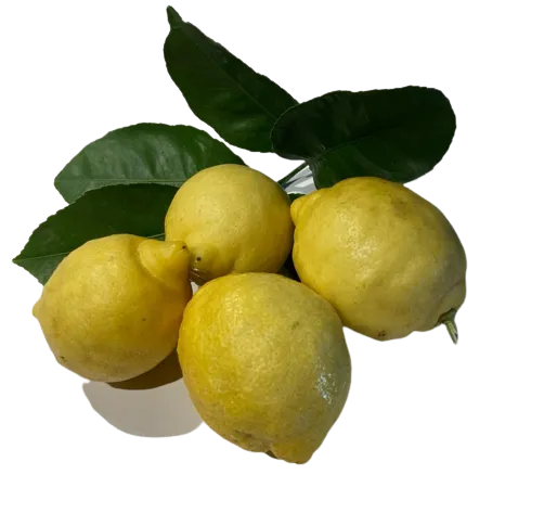 Limón -caja 3 kg