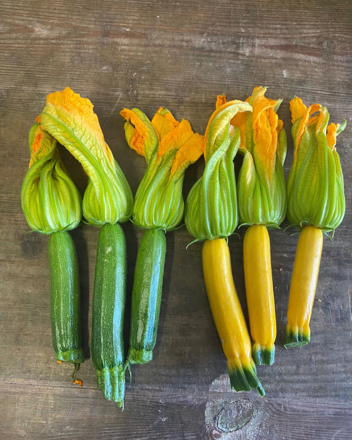 Flor de calabacín con mini calabacín 6 Uds.