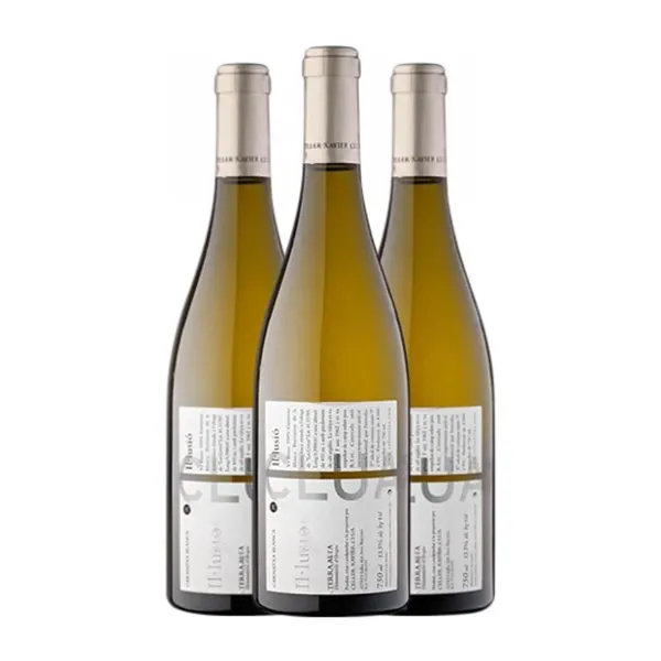 Xavier Clua Il·lusió Garnacha Terra Alta Joven 75 cl Vino Blanco (Caja de 3 unidades)