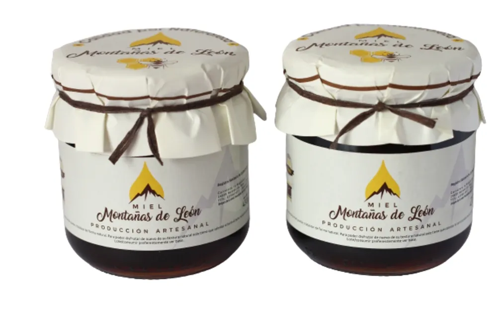 Lote de 2 botes de Miel Montañas de León de 430 g.