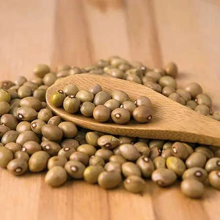 Fabes ‘Roxas’ Granel