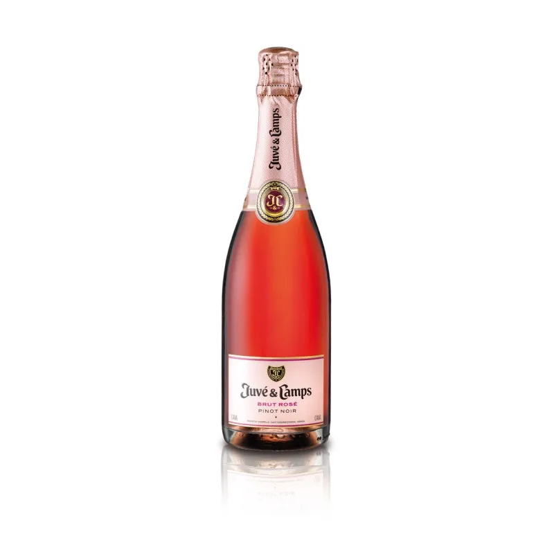 Brut Rosé Juvé & Camps