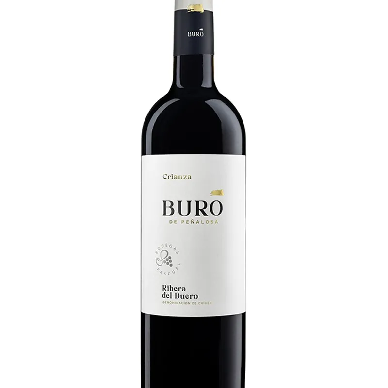 BURÓ DE PEÑALOSA Crianza 2020, MAGNUM