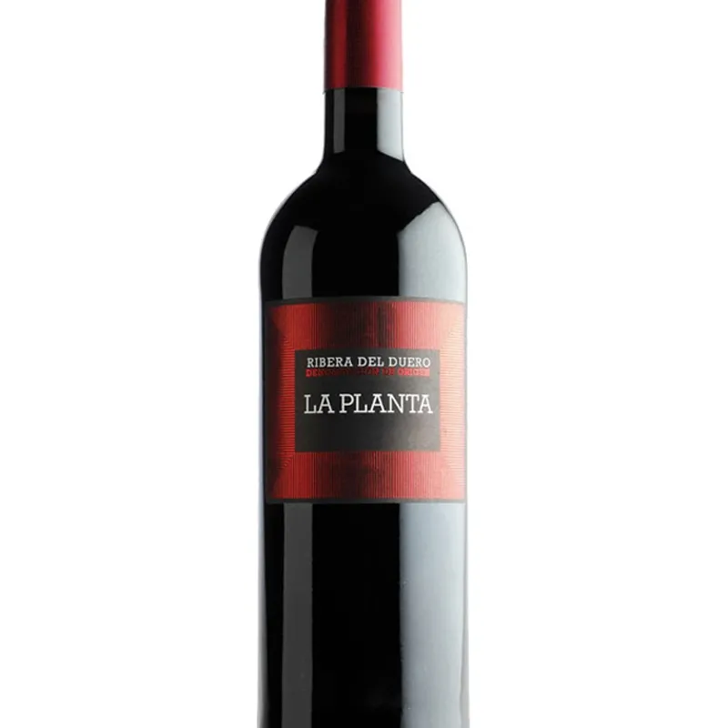 LA PLANTA 2023, MAGNUM