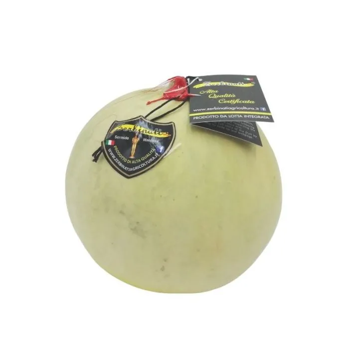 Melón Zerbinati 1,2 kg aprox.