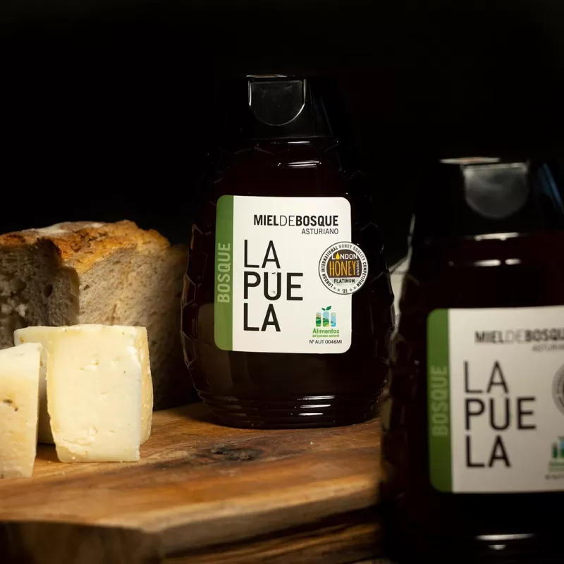 MIEL DE BOSQUE CON DOSIFICADOR (350 g.)
