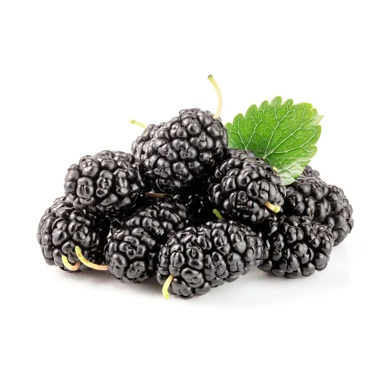 Mora Gelso Nero Entera - 2x2.5Kg