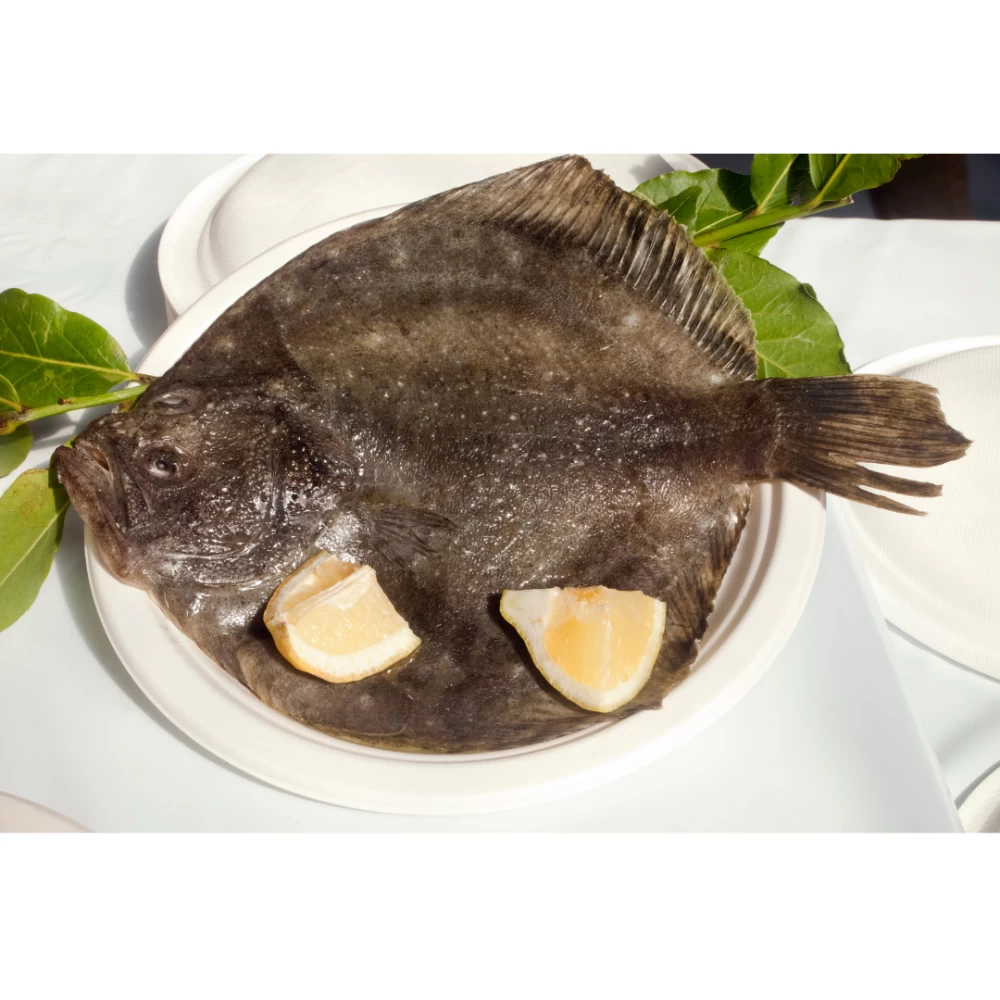 Rodaballo Salvaje Lonja del Cantábrico