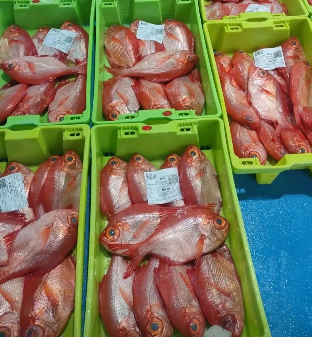 Virrey Salvaje Lonja del Cantábrico