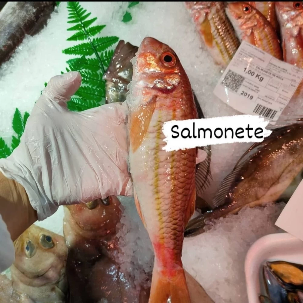 Salmonete de Roca Lonja del Cantábrico