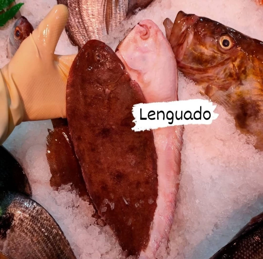 Lenguado Salvaje Lonja del Cantábrico